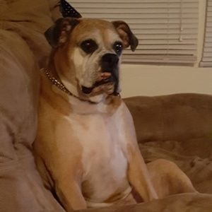 Meet your Posher, Wilhelmina